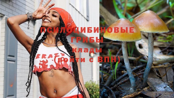 амф Калининец