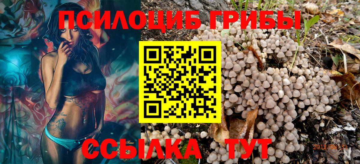 купить наркотик  Галлюциногенные грибы мицелий  Вход с VPN  Алапаевск 